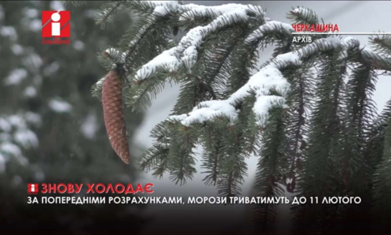 Морози на Черкащині триватимуть до 11 лютого (ВІДЕО)